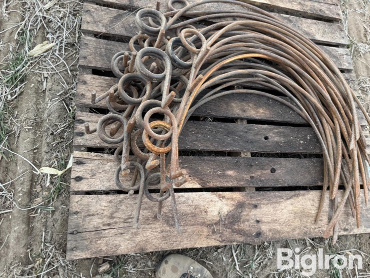 dump-rake-teeth-image-12