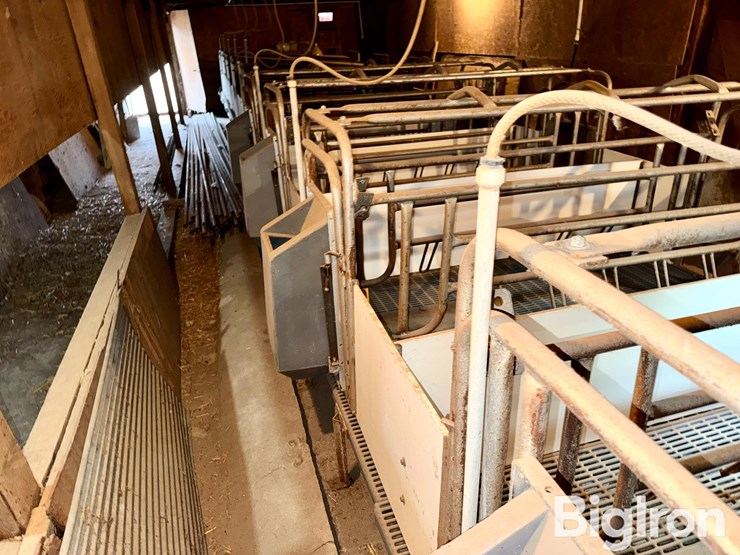 farrowing-crates-w/rubber/steel-floor-image-7