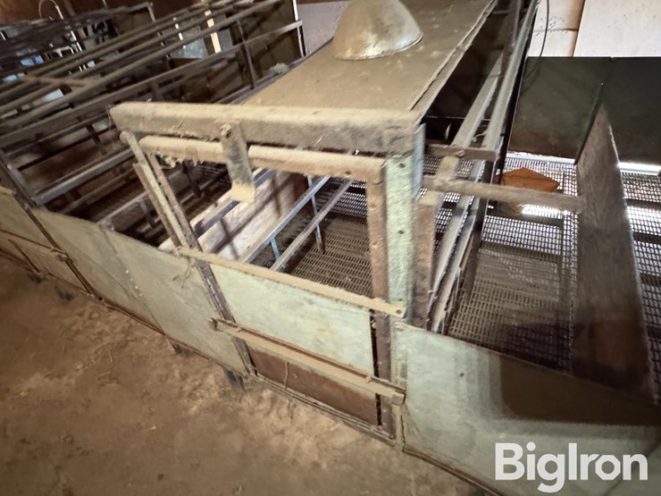 complete-farrowing-crates-image-14