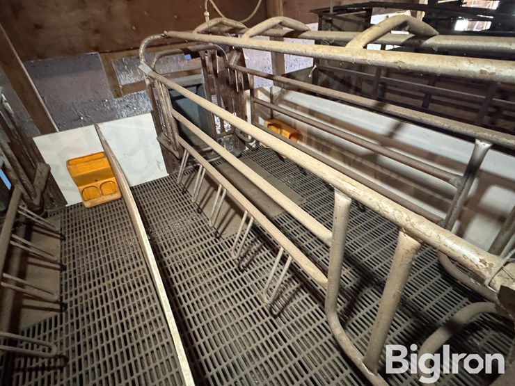 farrowing-crates-w/rubber/steel-floor-image-14