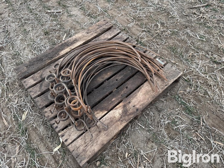 dump-rake-teeth-image-3