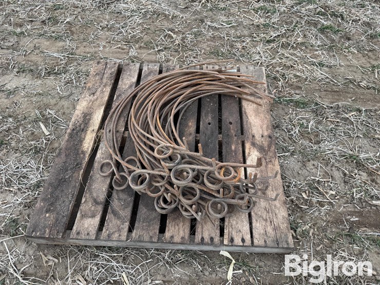 dump-rake-teeth-image-4