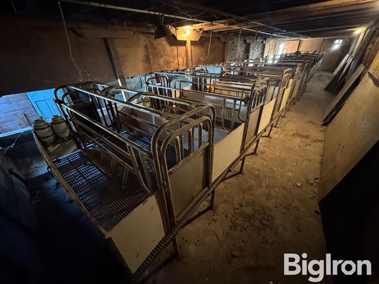 farrowing-crates-w/rubber/steel-floor-image-2