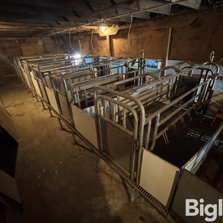 Farrowing Crates W/Rubber/Steel Floor