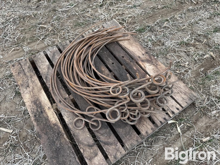 dump-rake-teeth-image-5