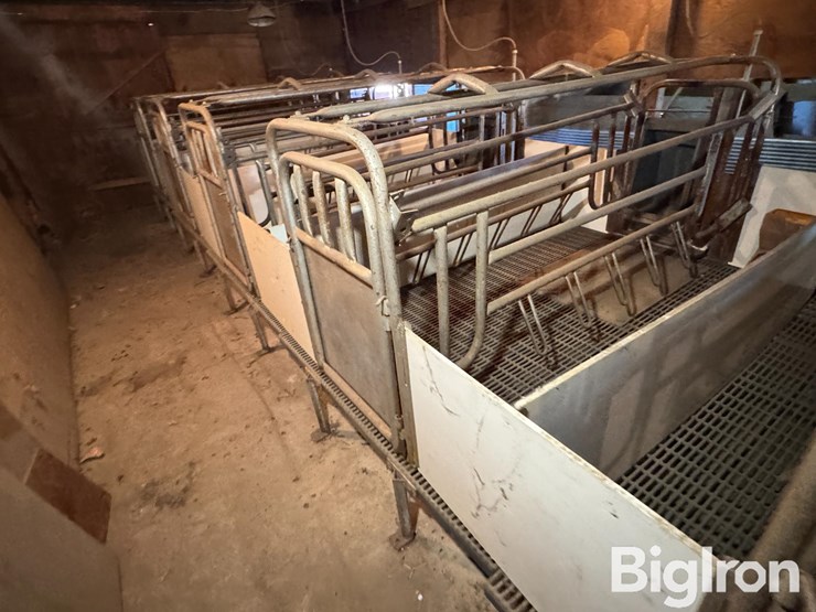farrowing-crates-w/rubber/steel-floor-image-19