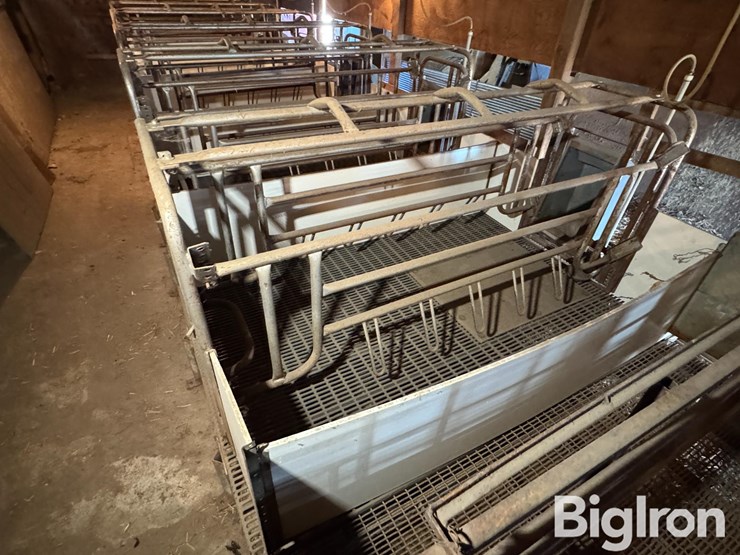 farrowing-crates-w/rubber/steel-floor-image-12