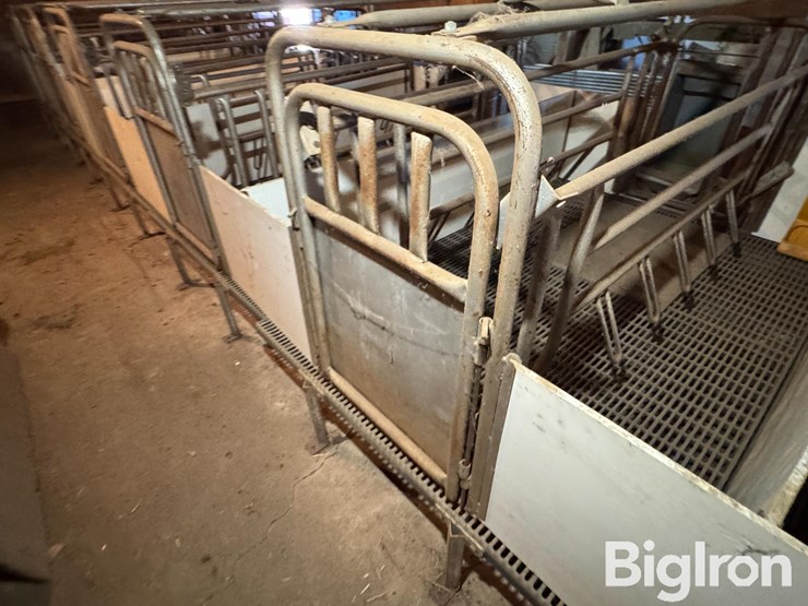 farrowing-crates-w/rubber/steel-floor-image-17