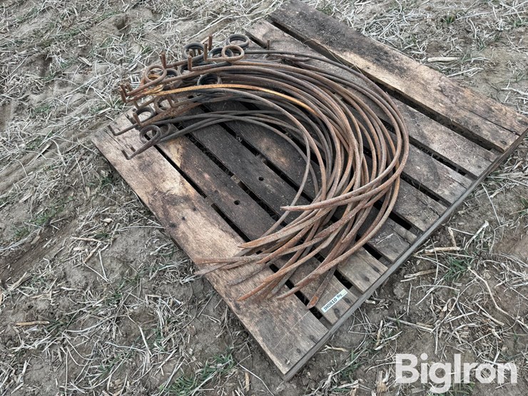 dump-rake-teeth-image-1