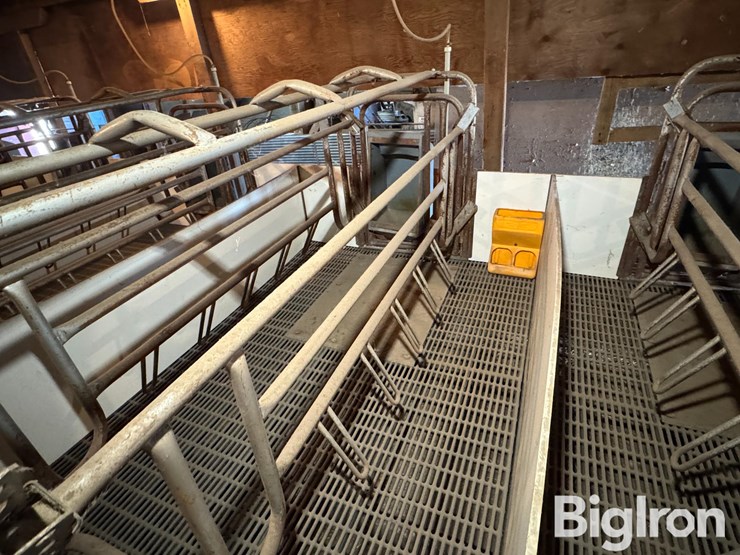 farrowing-crates-w/rubber/steel-floor-image-16