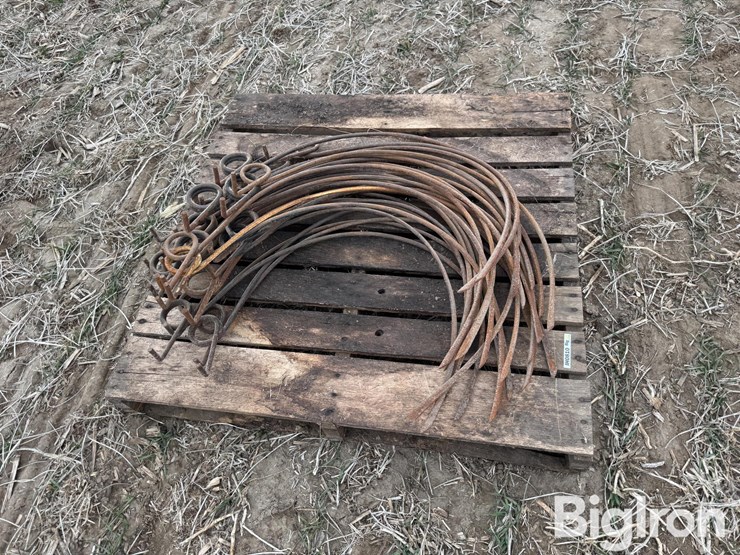 dump-rake-teeth-image-2