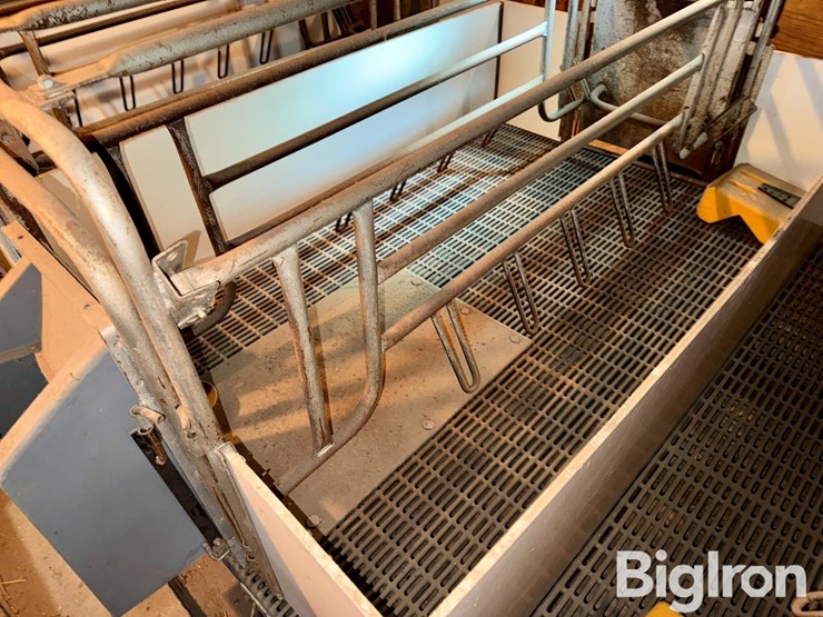 farrowing-crates-w/rubber/steel-floor-image-6