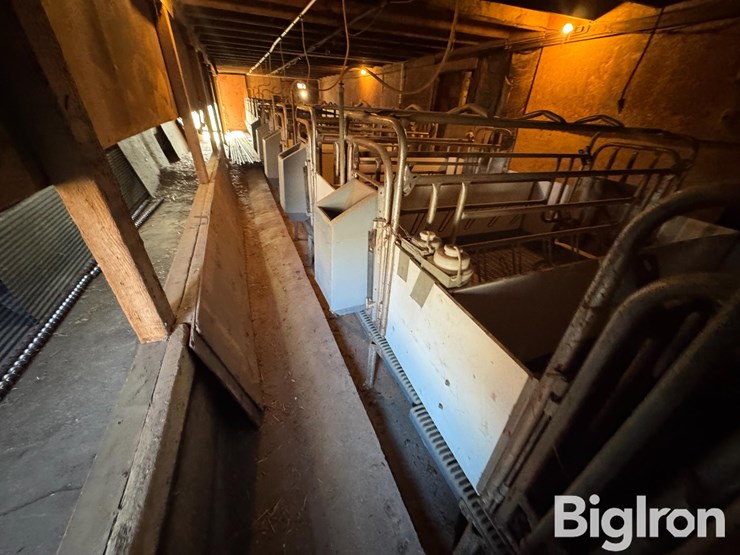 farrowing-crates-w/rubber/steel-floor-image-5