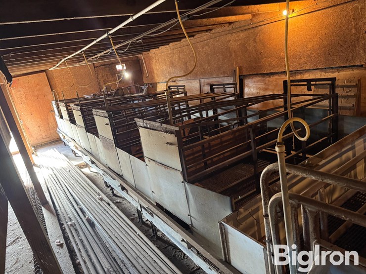 complete-farrowing-crates-image-5