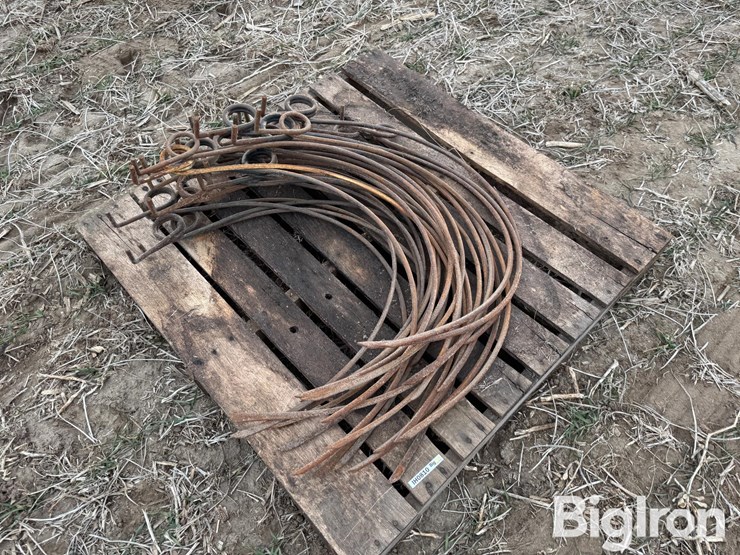 dump-rake-teeth-image-9