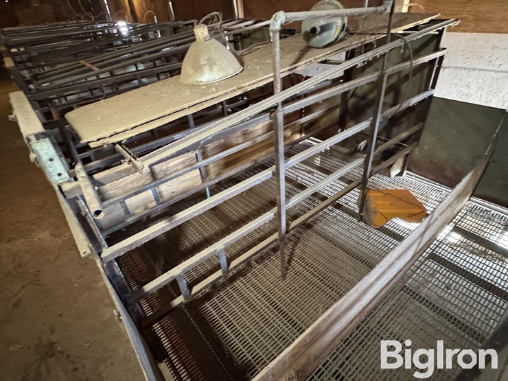 complete-farrowing-crates-image-13