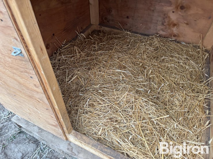 calf-warmer-box-image-13