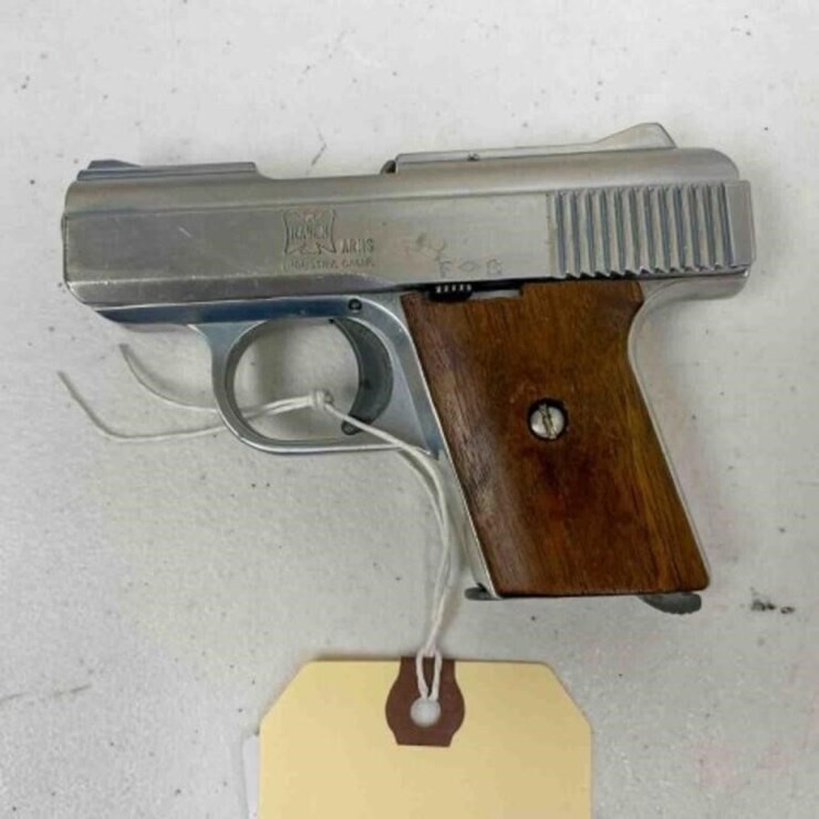 Raven Arms pistol