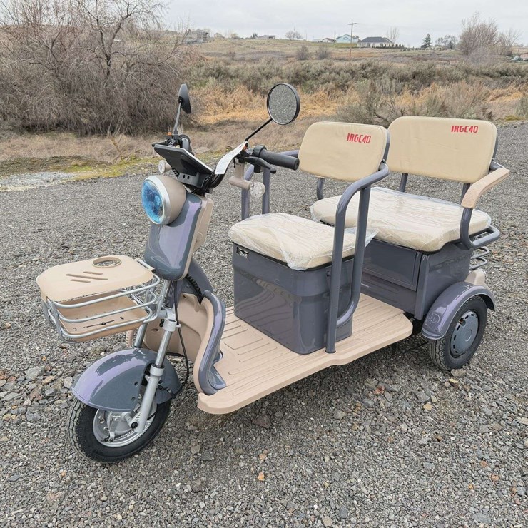 2025 IR IRGC40 Mini Golf Cart