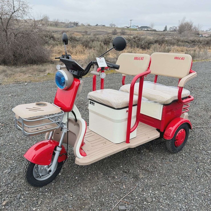 2025 IR IRGC40 Mini Golf Cart