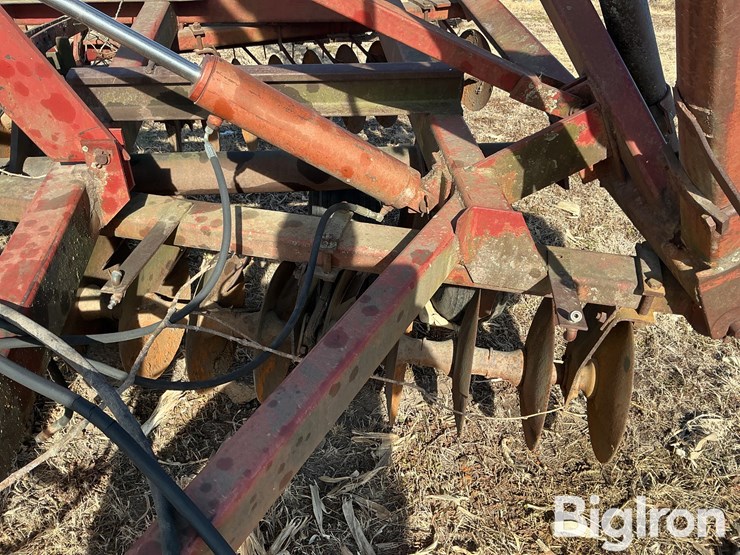 international-490-image-11