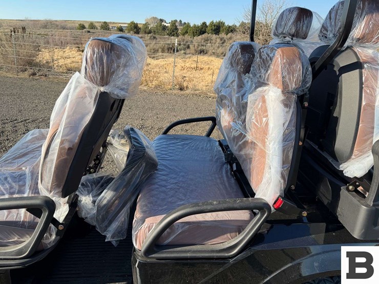 2025-sdlanch-sdlgc100-electric-golf-cart-image-18