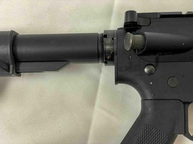 palmentto-state-rifle-image-3