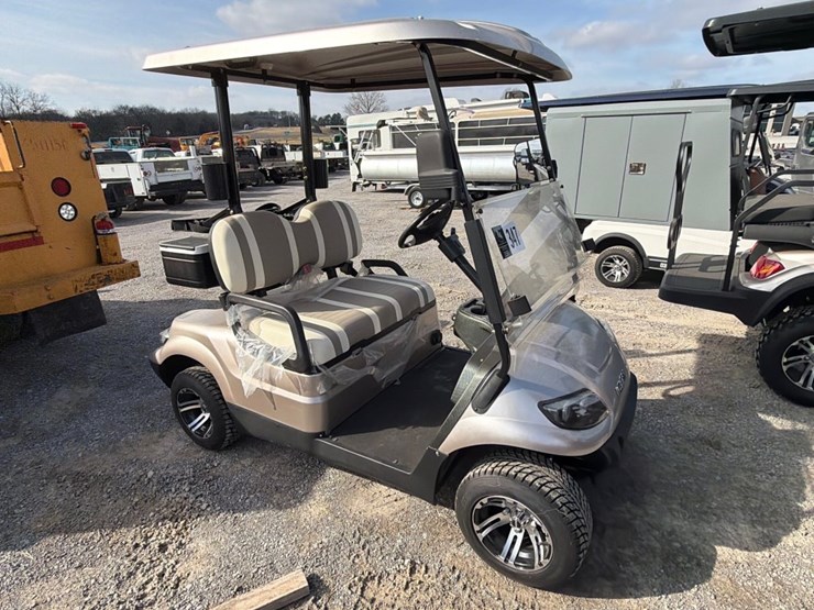 #30690-•-icon-2-passenger-golf-cart-image-2
