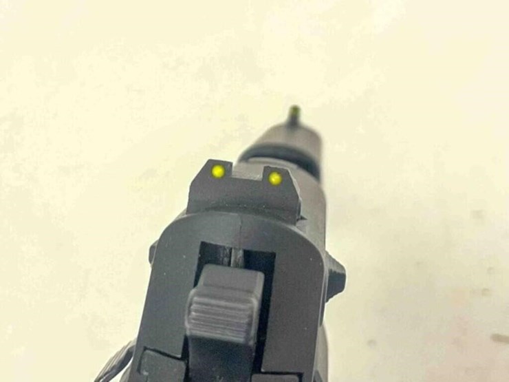 sig-sauer-pistol-image-6