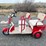 2025-ir-irgc40-mini-golf-cart-image-2