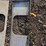 #1188-•-unused,-skidsteer-open-center-weldable-quick-attach-plate-image-4