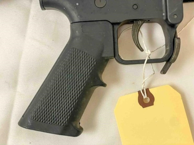 palmentto-state-rifle-image-5