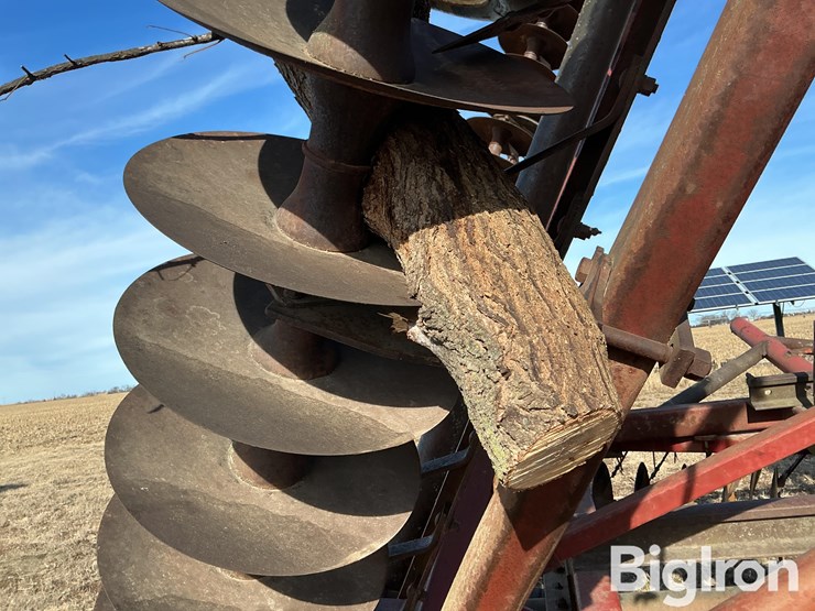 international-490-image-14