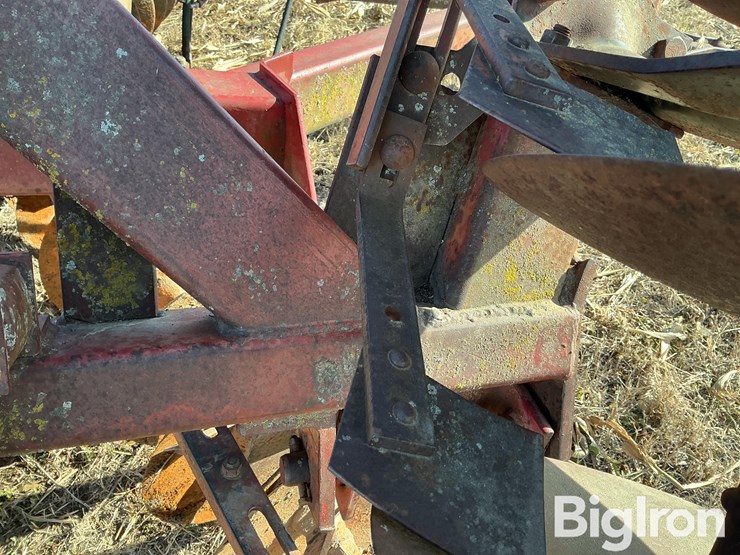 international-490-image-17