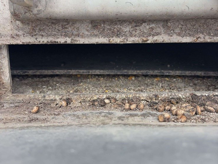 1997-mac-34ft-dump-trailer,-tires-are-80%,-new-hoist-2-years-ago,-new-liner-2-years-ago,-automatic-roll-tarp,-new-jacks,-just-downsizing,-nice-trailer-image-19