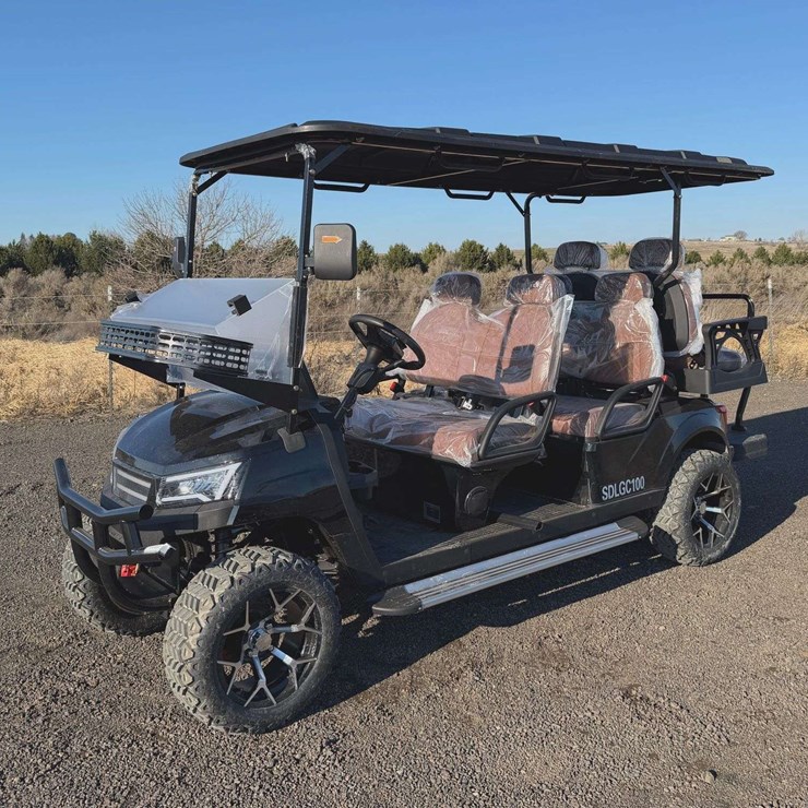 2025 SDLANCH SDLGC100 Electric Golf Cart