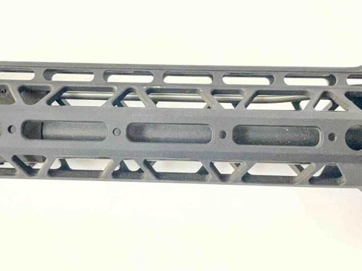 palmentto-state-rifle-image-18