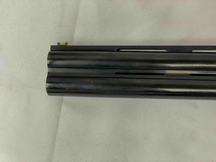 hunt-group,-fed-arm-shotgun-image-26