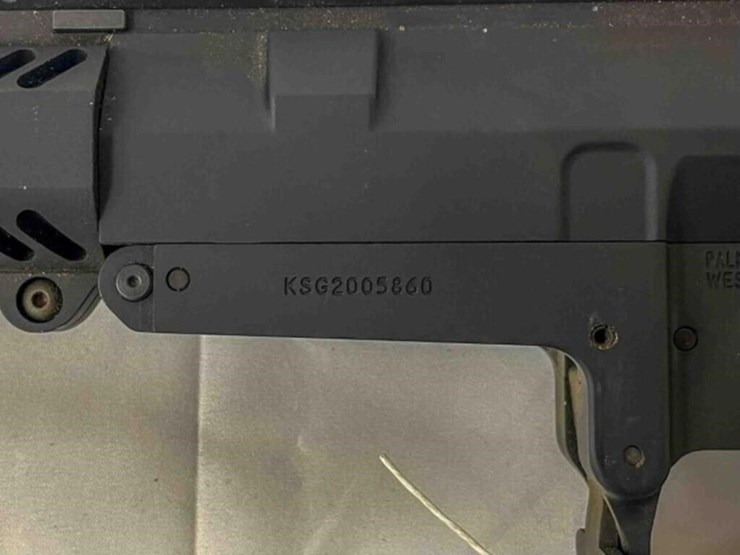 palmentto-state-rifle-image-16