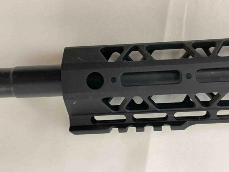 palmentto-state-rifle-image-9