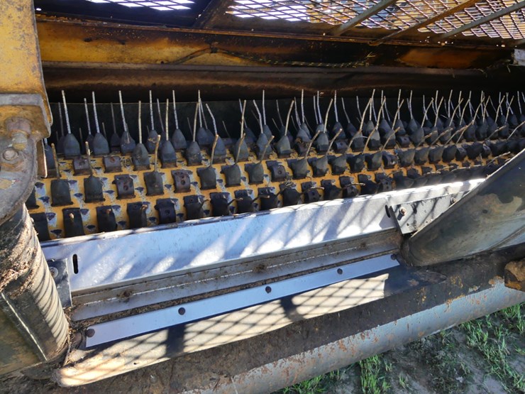 pixall-big-jack-image-8