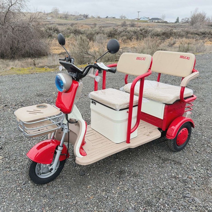2025 IR IRGC40 Mini Golf Cart