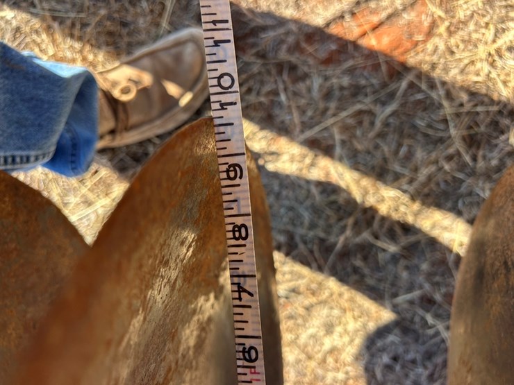 sunflower-1321-image-9