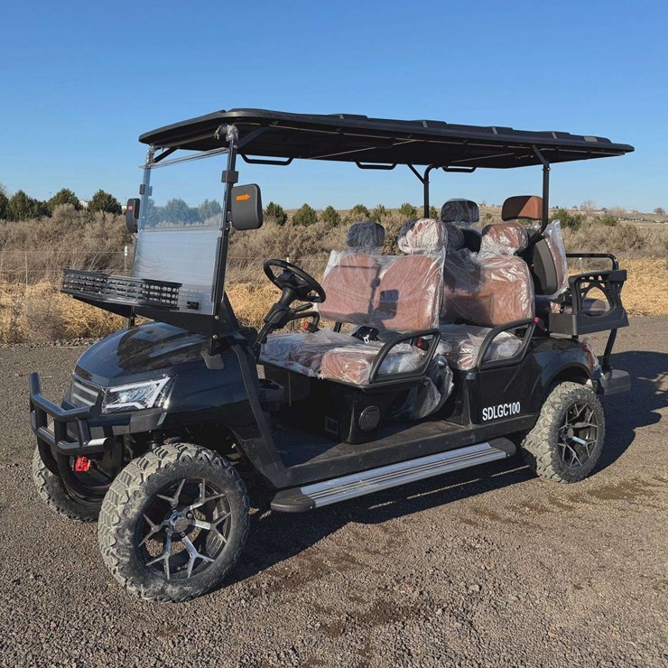 2025 SDLANCH SDLGC100 Electric Golf Cart