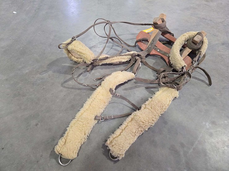 packing-saddle-image-3