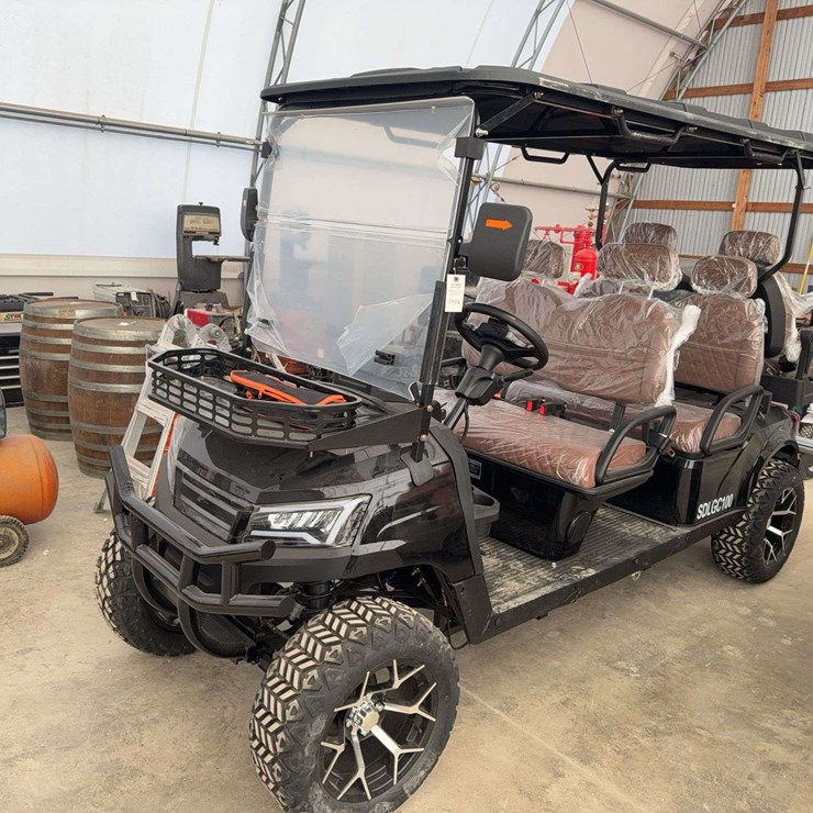 Electric 60 Volt Golf Cart, 6 Seater