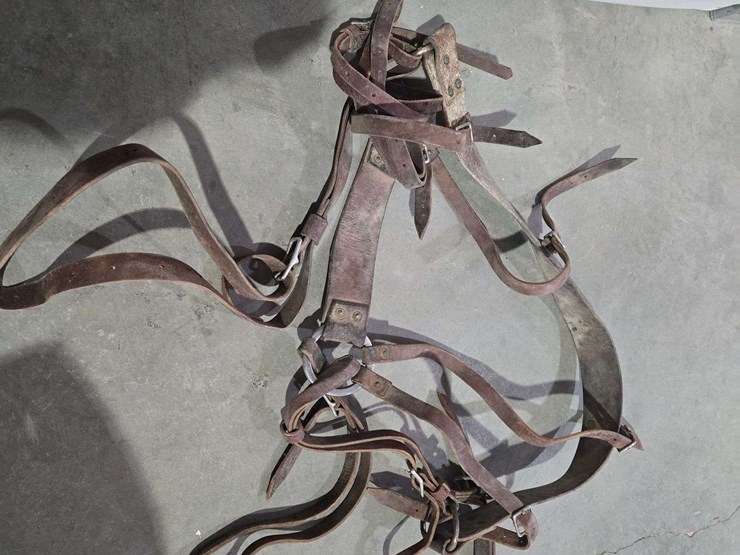 (2)-boxes-of-hay-sacks-with-leads-and-rope-image-13