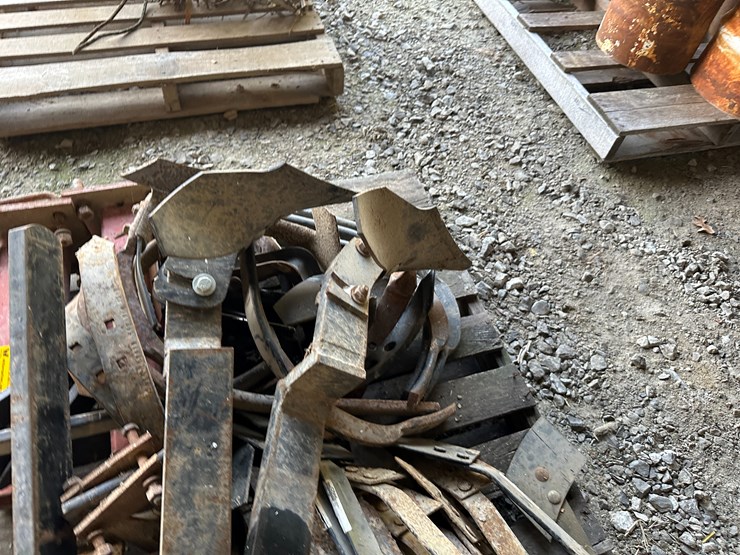 #35883-•-bedder-feet,-shanks-and-other-parts-image-6