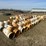 #36263-•-lot-of-(40)-12"-irrigation-ts-image-1