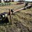 #35849-•-water-furrow-plow-image-2